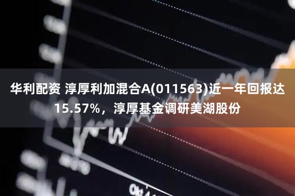 华利配资 淳厚利加混合A(011563)近一年回报达15.57%，淳厚基金调研美湖股份