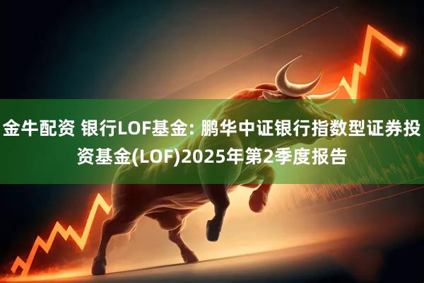 金牛配资 银行LOF基金: 鹏华中证银行指数型证券投资基金(LOF)2025年第2季度报告