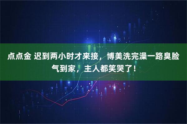 点点金 迟到两小时才来接，博美洗完澡一路臭脸气到家，主人都笑哭了！